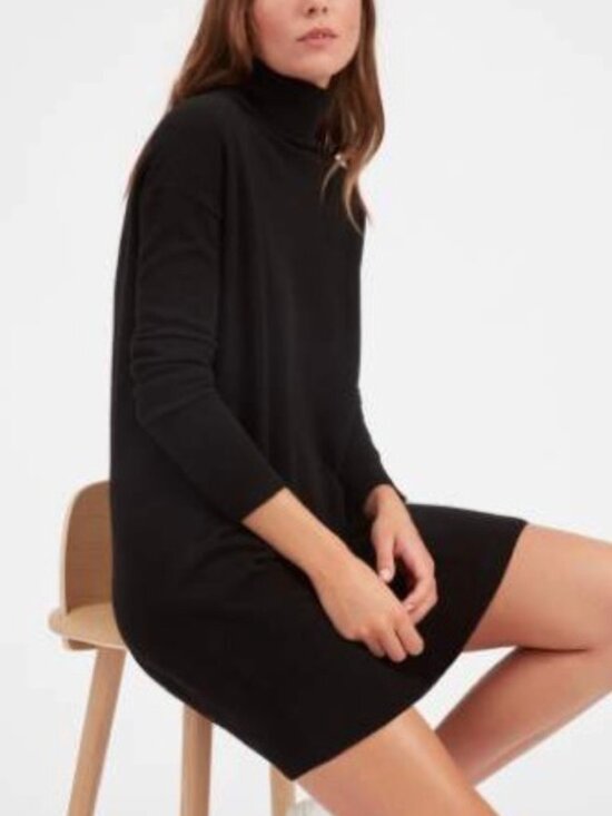 Everlane Dresses & Skirts - Everlane Cashmere Essential Black Turtleneck Mini Sweater Dress